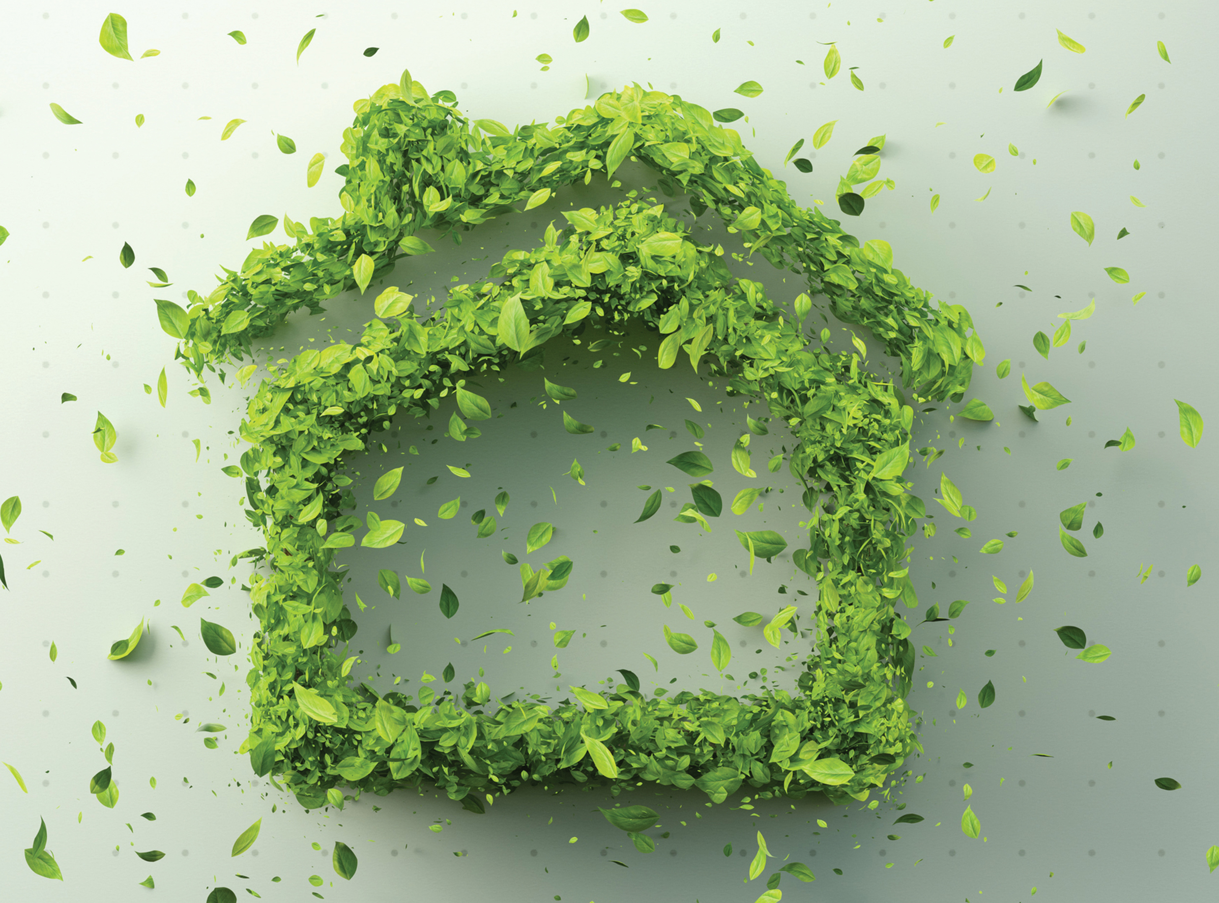 Turn your home into a sustainable one