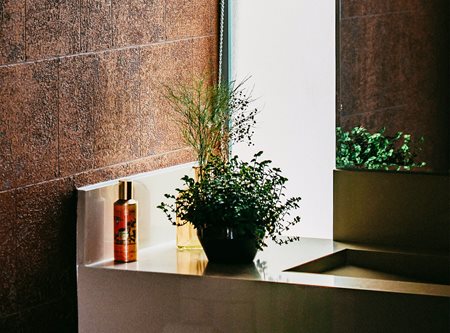 A green bathroom - from plants to energy-saving taps
