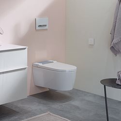 Toilettes D'apprentissage De La Propreté Siège - Temu Belgium